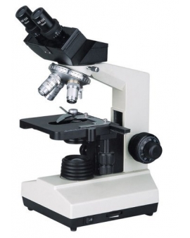 Binocular microscope